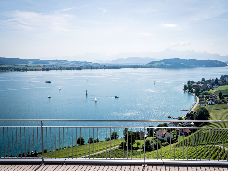 Erlebnisreicher Blick vom Aussichtsturm Bodensee bei Immenstaad Aussichtsturm Bodensee bei Immenstaad mit Panoramablick auf den Untersee und Alpen