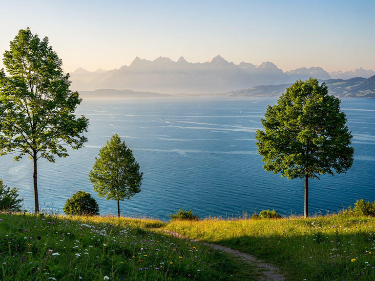 Panoramablick vom Eichenberg auf den Bodensee mit Natur und Bergen