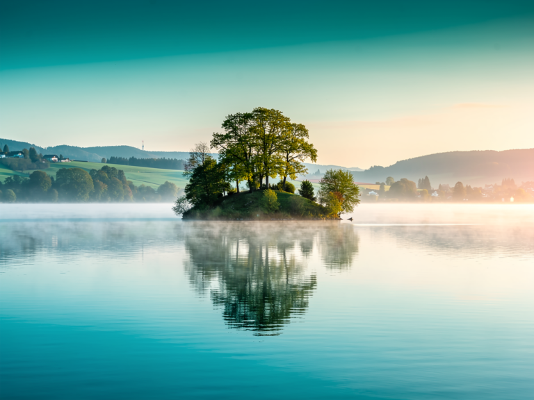 Idyllische Insel Werd am Untersee mit historischen Klostergebäuden und dichter Natur