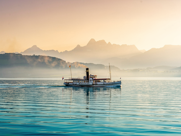 Historische MS Seeschwalbe Dampfschifffahrt auf dem Bodensee mit Dampfantrieb