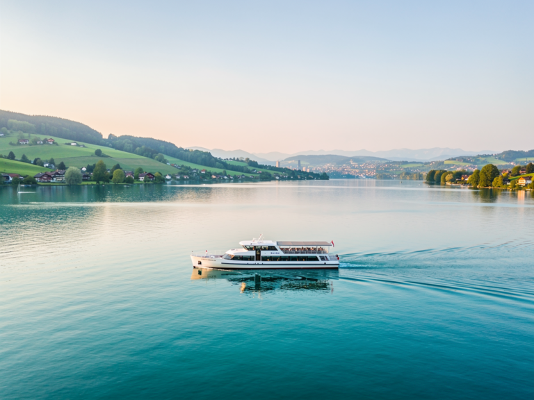 Panoramafahrt auf dem Überlinger See – unvergesslicher Schiffsausflug Schiff auf Überlinger See vor malerischer Uferlandschaft und blühenden Weinbergen