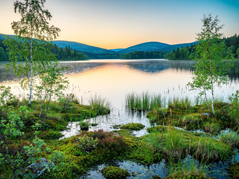Idyllisches Moor mit klarem Wasser und Wanderwegen am Schleinsee Naturerlebnis