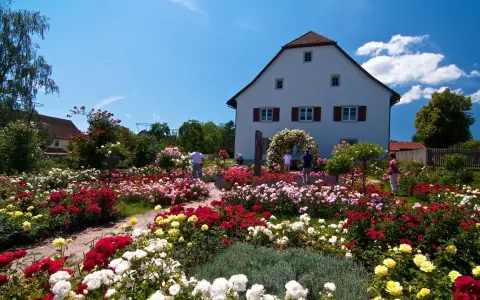Rosen- Garten