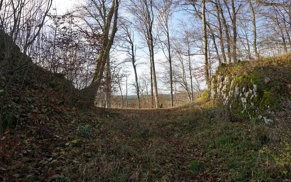 Burg Schatzberg