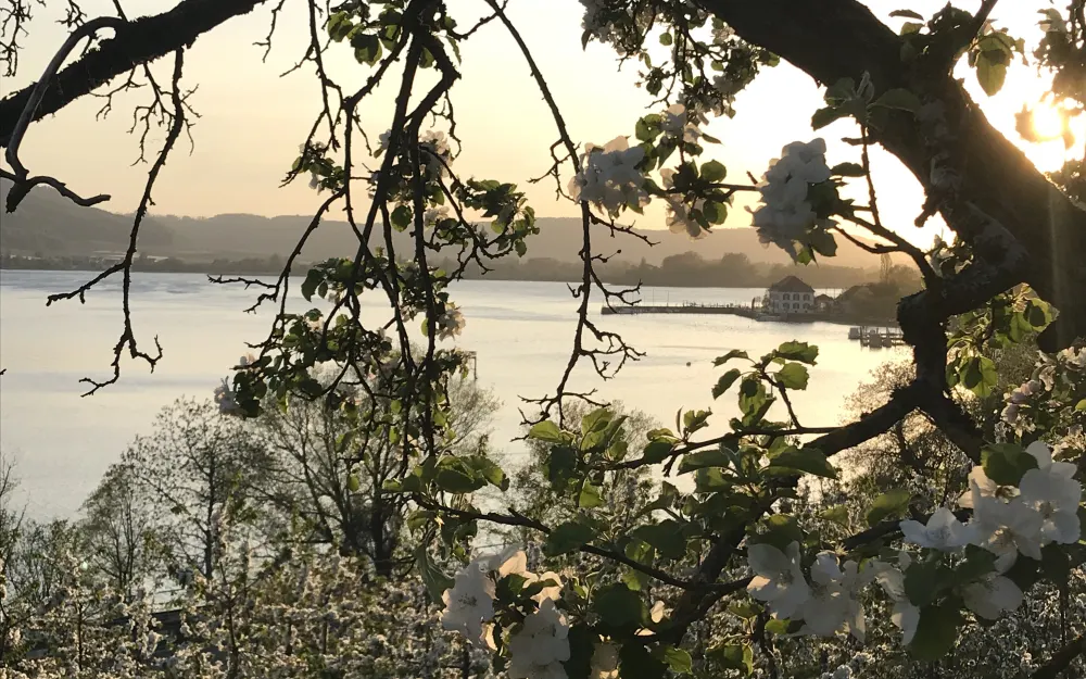 Blick vom Blütenweg auf das Zollhaus Ludwigshafen