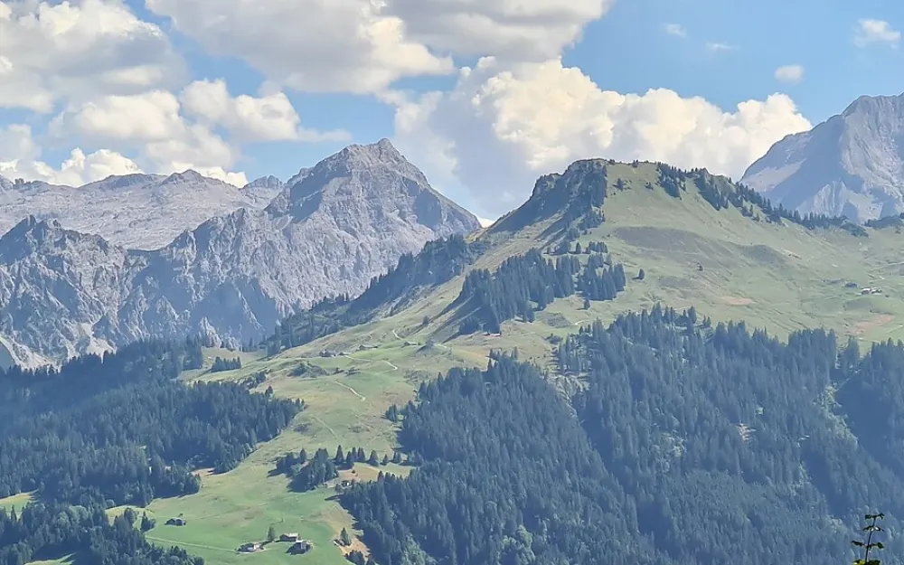 Westlicher Johanneskopf