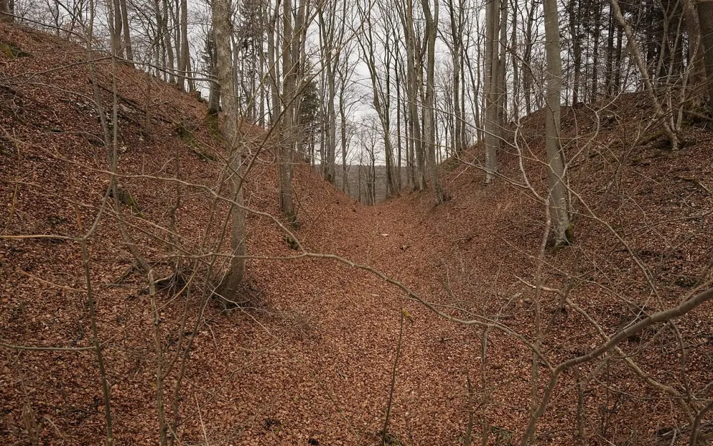 Alte Burg (Langenenslingen)