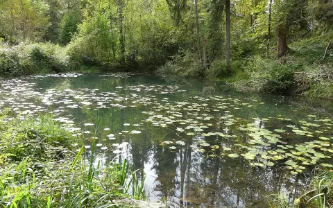 Egelsee