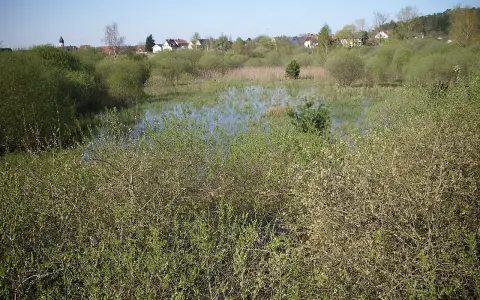 Egelsee