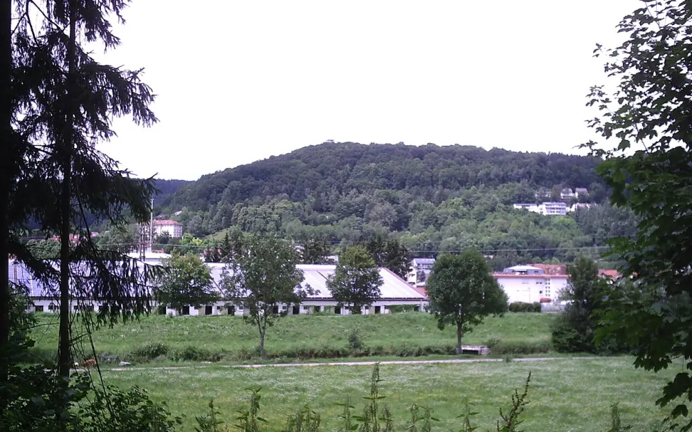 Vitibuckturm