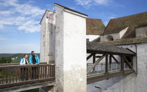 Burg Wildenstein (mittelalterliche Burganlage)
