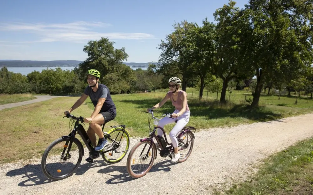 Bodensee-Radweg bei Horn