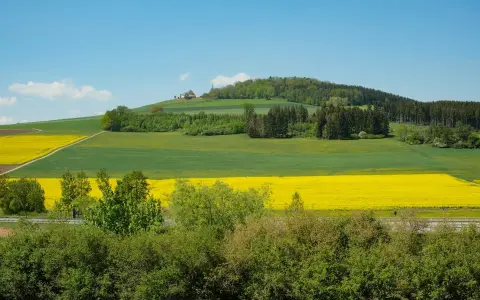 Wartenberg