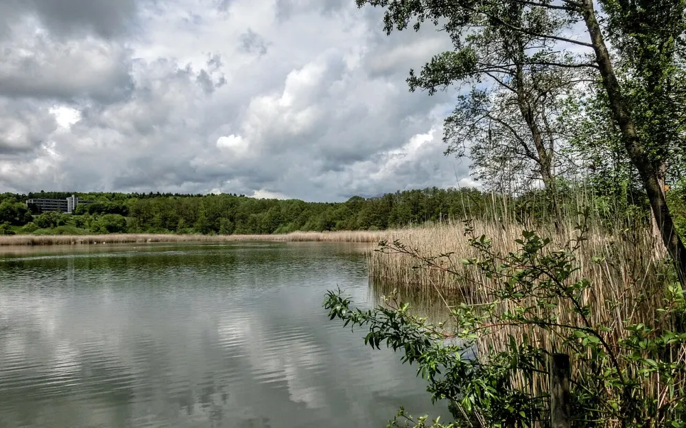 Zeller See