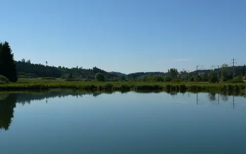 Grüninger Ried