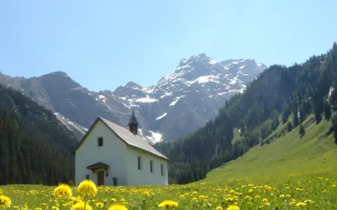 Panüelerkopf