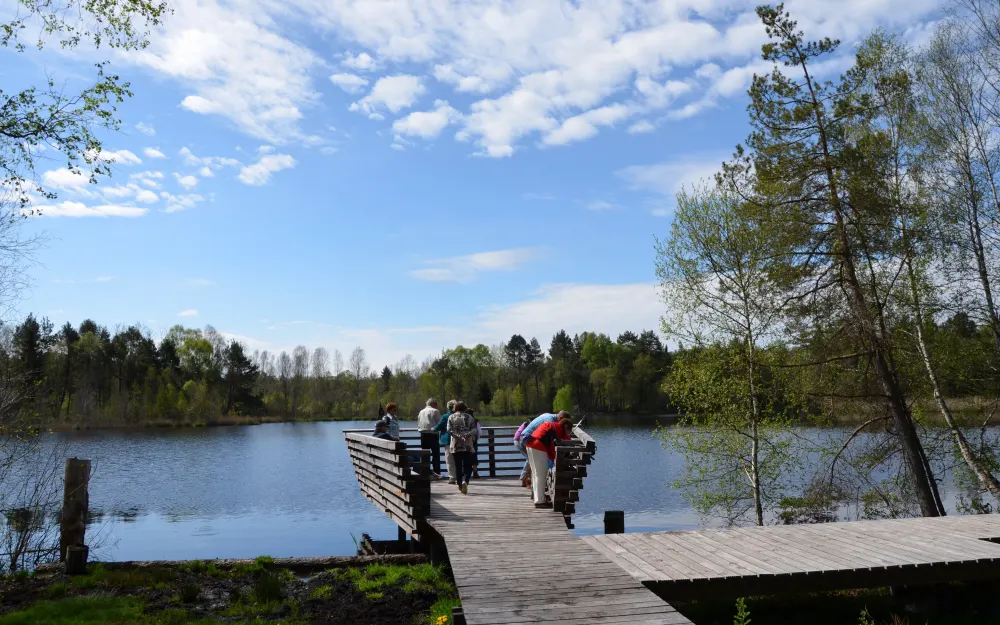 Fünfeckweiher im Pfrunger Burgweiler Ried