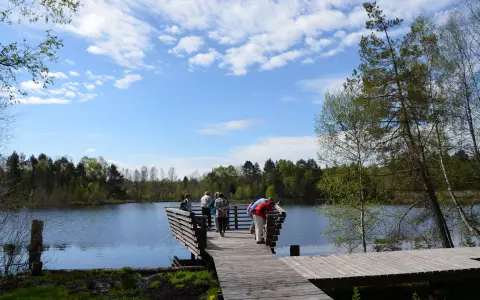 Fünfeckweiher im Pfrunger Burgweiler Ried