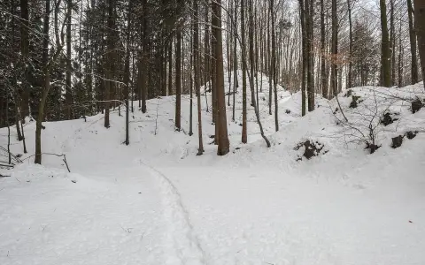 Burgrest Alt-Heiligenberg