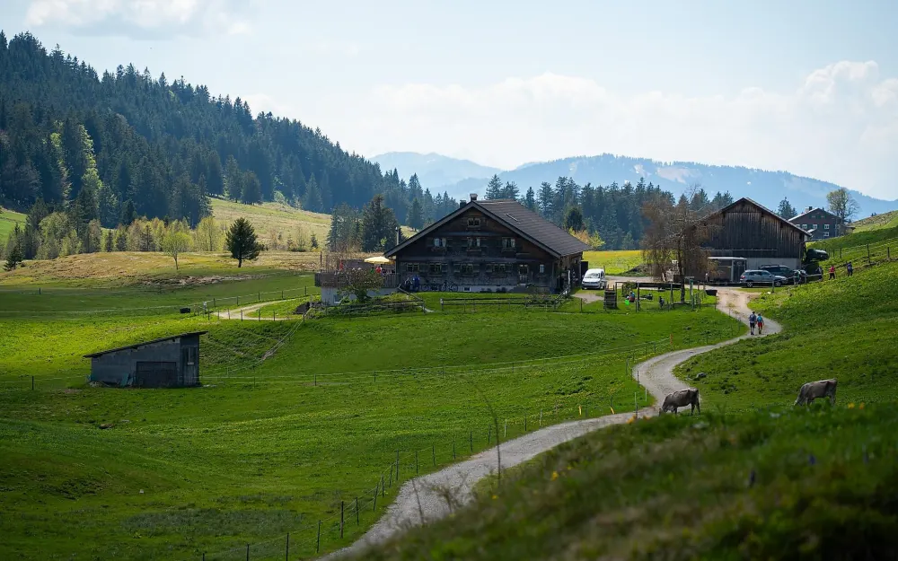Alpstüble Moos (A)