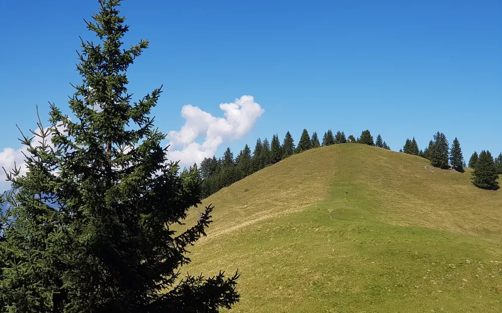 Sarojahöhe