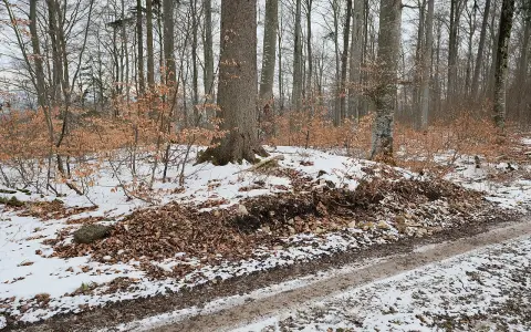 Abschnittsbefestigung Hörnekapf