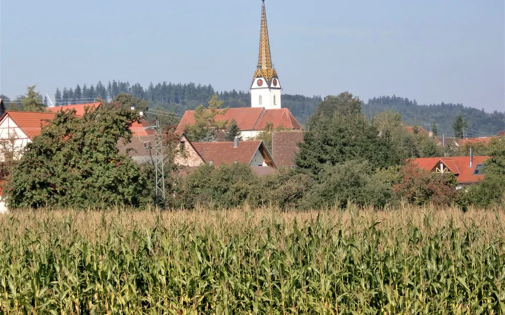 Blick vom Wanderweg auf Kirche St. Sebastian in Pfrungen