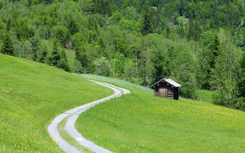 Auer Ried