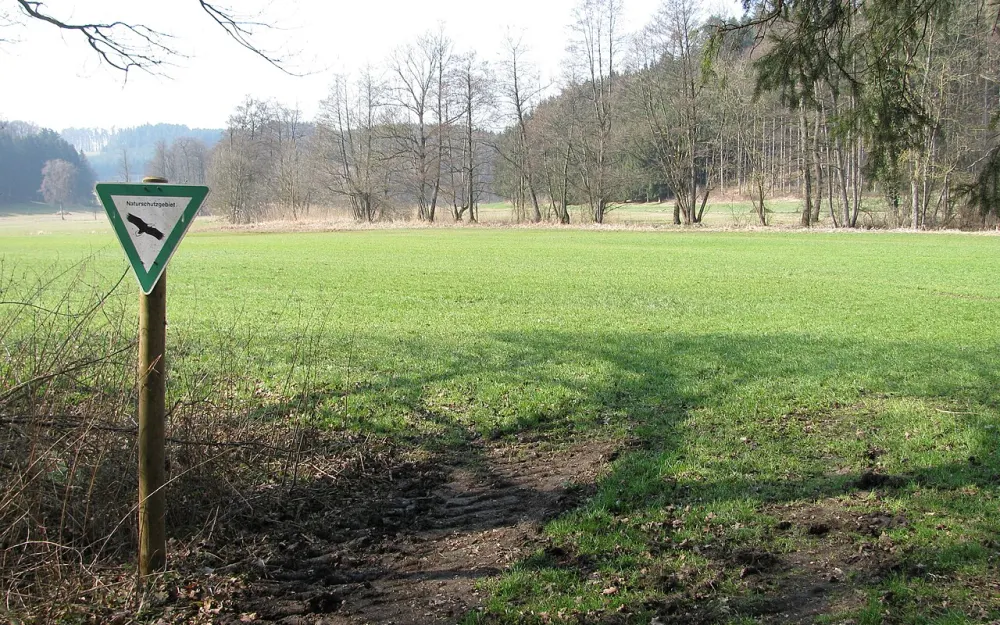 Knellesberger Moos