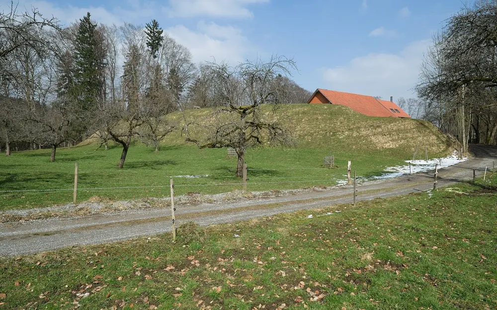Ringgenburg (Schmalegg)
