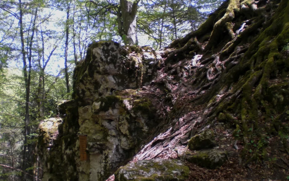 Burgstelle Wallenburg