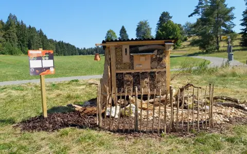 Insektenhotel auf der Kälberwiese