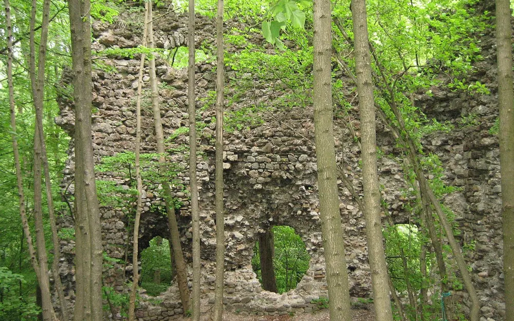 Mittelalterliche Burgruine Niederwindegg