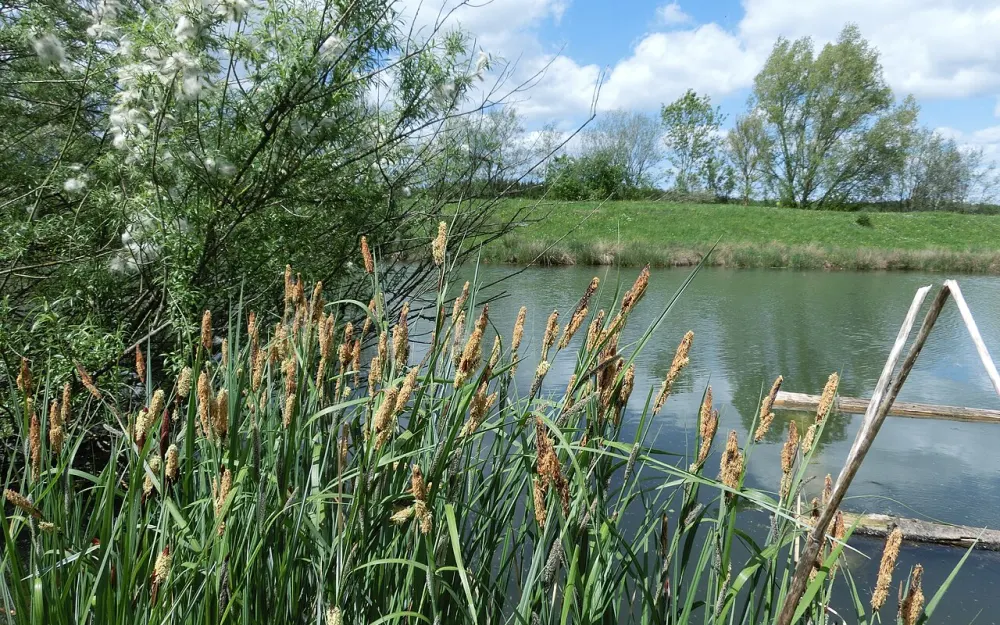 Ablach, Baggerseen und Waltere Moor