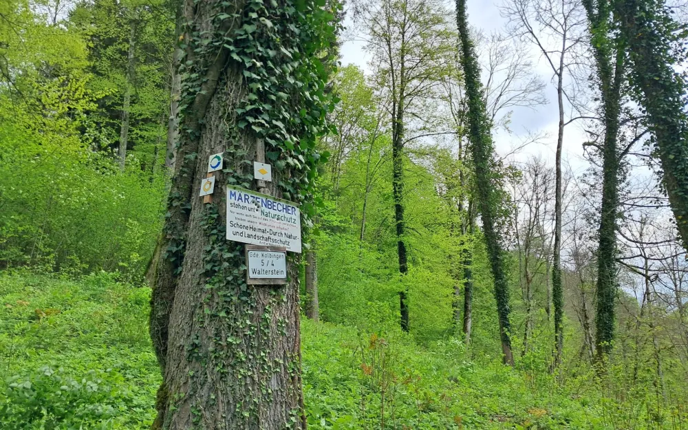 Lippachtal