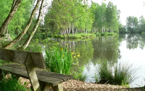 Bank am See im Pfrunger-Burgweiler Ried