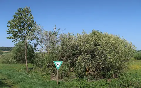 Östlicher Hegau und Linzgau