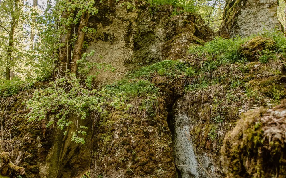Wanderung im Felsentäle