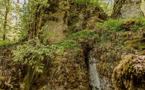 Wanderung im Felsentäle