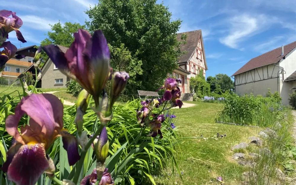 25HesseMuseumMuseumLilien
