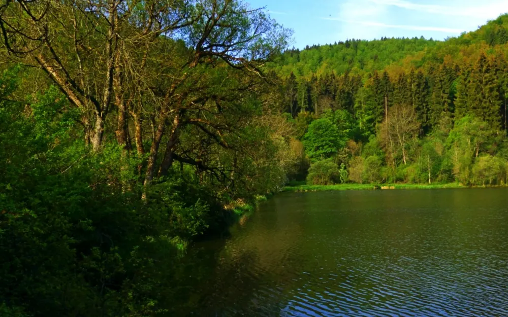 Krähenbachtal im Naturschutzgebiet Bächetal