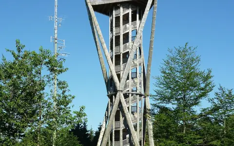 Wiler Turm