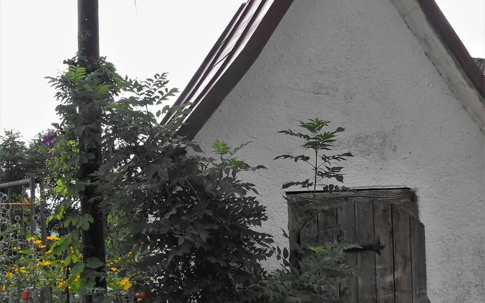 Kapelle "Beim Bild"