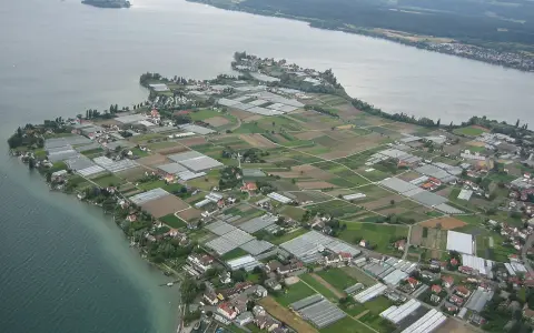 Reichenau