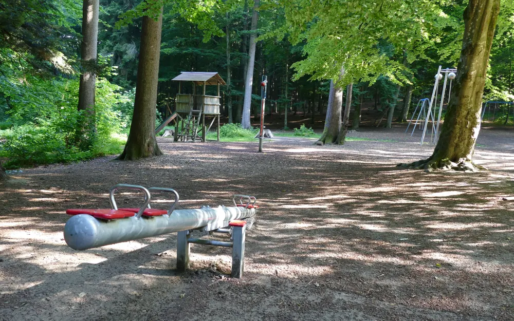 Spielplatz am Wildfreigehege Locherholz