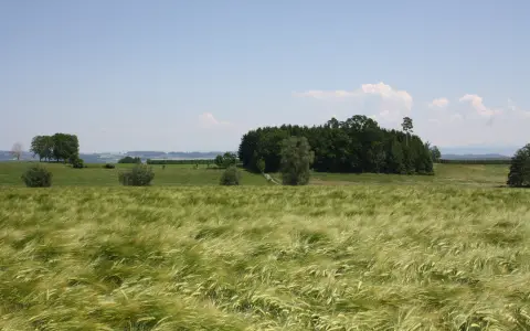 Ettenkircher Höhenweg