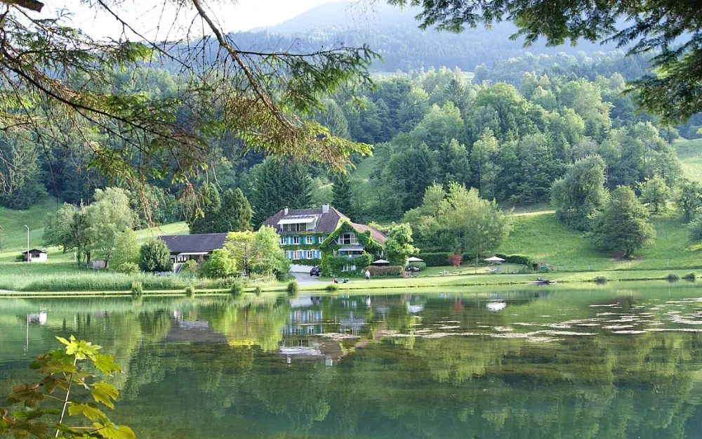 Fallersee