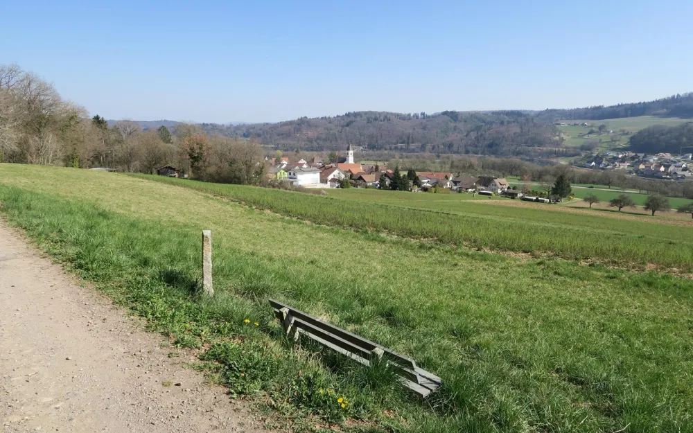 Rückblick auf Lienheim