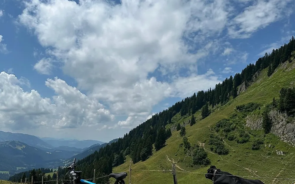 Fahrrad