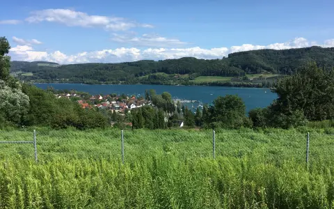 Blick von Herberts Bänkle
